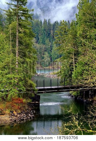 Bridge over Small Creek in Hayward Lake Park . This creek is going to the Hayward Lake Reservoir. This place is located in the territory of Maple Ridge.