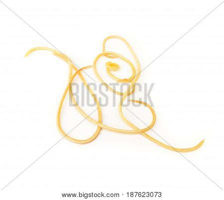 Helminthiasis Toxocara canis (also known as dog roundworm) or parasitic worms from little dog on white background selective focus