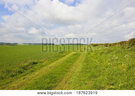 Minster Way Bridleway