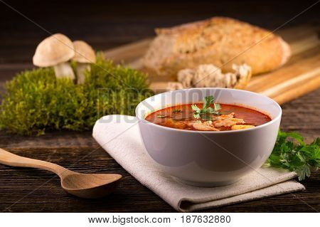 Fresh Mushroom Soup From Calocybe