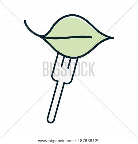 fresh leaf to prepair natural salad, vector illustration