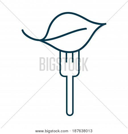 contour fresh leaf to prepair natural salad, vector illustration