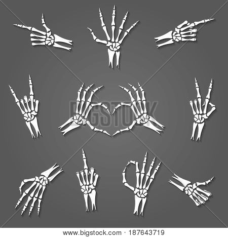 Skeleton hand signs isolated on grey background. Xray arm bones or hands gestures vector illustration