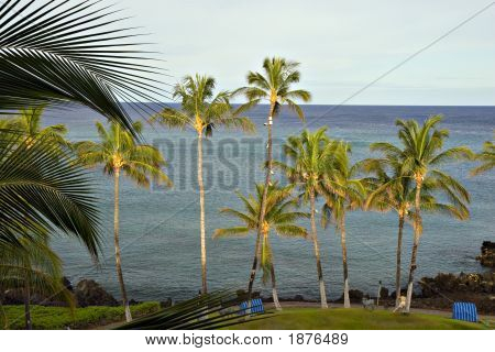Hawaii paradiso mattina