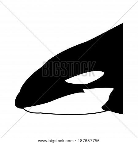 Killer whale illustration, vector, whale, cetacea, animal, aquatic animals, orca