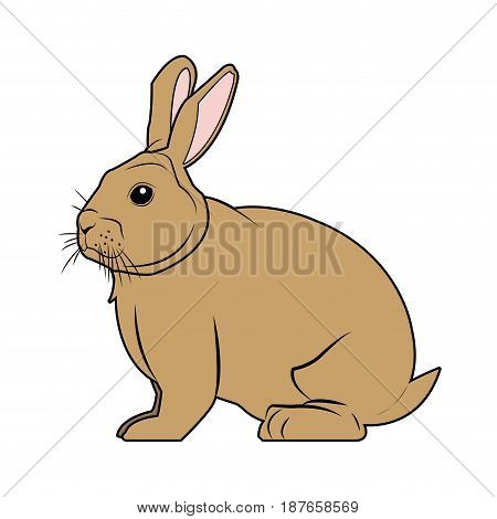 wild rabbit nature rodent farm image vector illustration