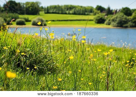 Bewl Water Reservoir, Lamberhurst, Kent, England