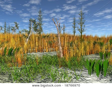 illusration de Inverno da primeira neve no campo