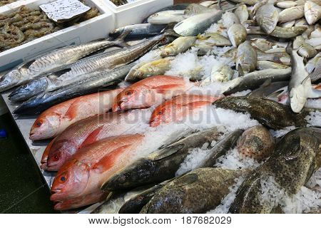 London Fish Market