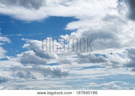 Cloudy blue sky with two flying birds