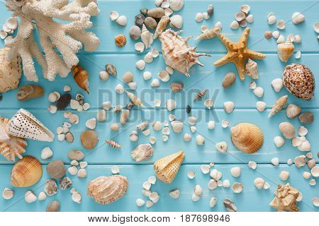 Seashells flat lay pattern on blue wood, sea vacation background with copy space on wooden planks, top view