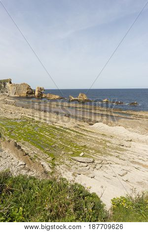 The Beach Of Arnia In Cantabria, Spain