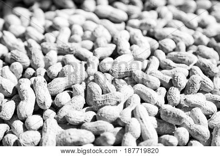 In The Market Lots Of Peanuts