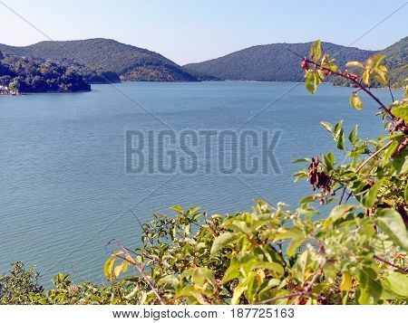 Acacia branches against the blue lake Abrau and mountain. Closeup. Novorossiysk, Black sea, Russia