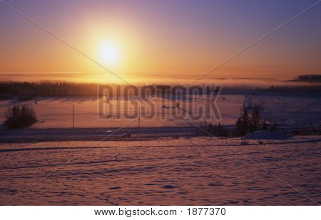 Low Wintersonne