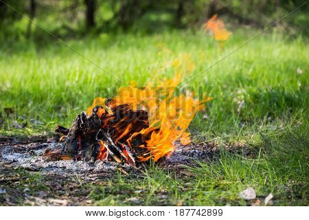 firepalce with flame amonf green grass on meadow