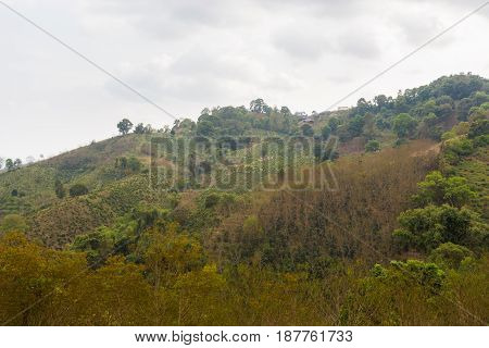 Mae Salong Chinese Village Thailand