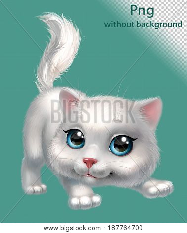 White fluffy kitten playing, png without background