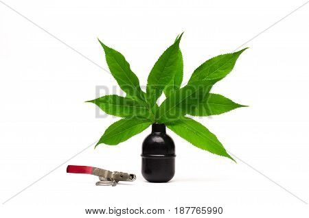 Vase made from hand grenade with green tree leaves as symbol of peace. Stop the wars concept.