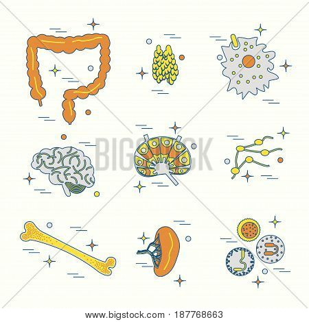 Immune System Icon Set