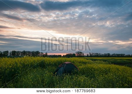 Tourist Tent On Rapeseed Field At Sunset,