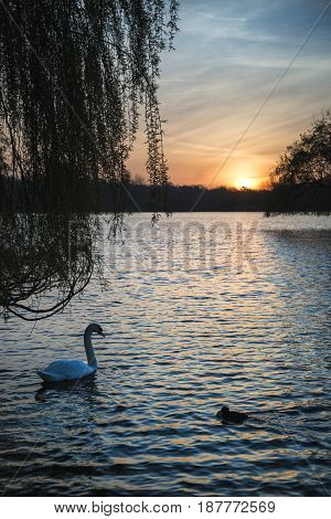 Beautiful Vibrant Spring Sunrise Over Calm Lake In English Countryside