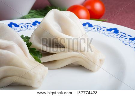 Traditional georgian hinkali dish with herbs and sauces