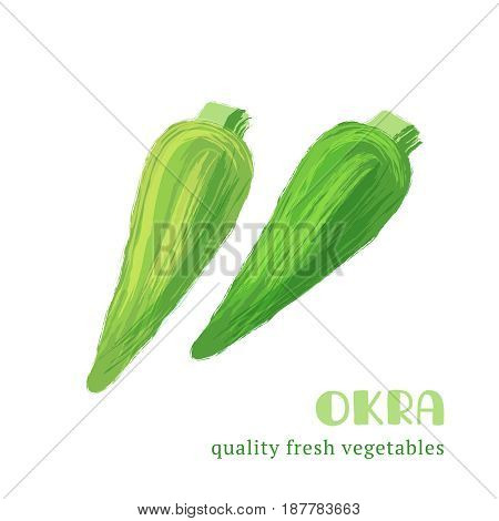 Fresh okra isolated on white background. Healthy food for the design of menu. Hand-drawn color vegetable design. Vector illustration.