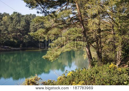 Beautiful Vibrant Landscape Image Of Old Clay Pit Quarry Lake With Unusual Colored Green Water