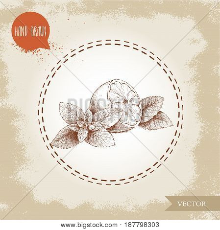 hand drawn sketch style healthy fruits. Lemon half and mint leafs. Eco fruit vector illustration. Healthy fruits and herbs.