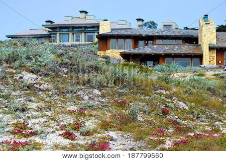Contemporary style beach home taken beyond sand dunes with coastal shrubs