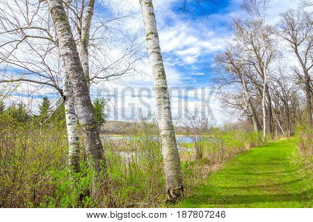 Spring Time At The Lake