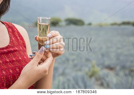 Mexican Woman With Tequila Shot In A Landscape Of Tequila.