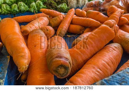 Closeup of a group of orange carrots on a blue background at a market with leafy greens in the background
