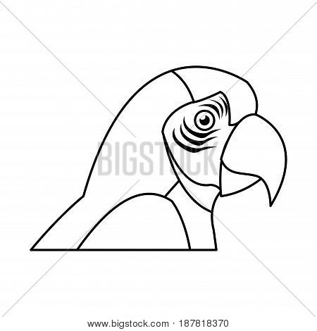 macaw amazon bird brazil wildlife image vector illustration