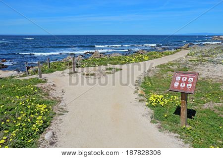 PACIFIC GROVE CALIFORNIA - MARCH 17 2017: Walkway sign surf rocks and early spring wildflowers of the park at Asilomar State Beach on the Monterey Peninsula.