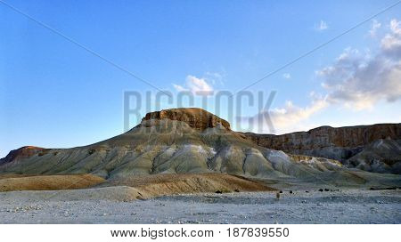 Canyon Ein Avdat In Negev Desert