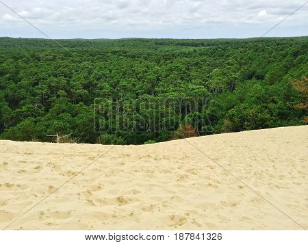 View over the forest from the Dune of Pilat. Dune du Pilat the biggest sand dune in Europe located in the Arcachon Bay area France.