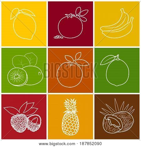 Linear Tropical Citrus Fruit Icons Lichee Kiwifruit Coconut and Lime Pomegranate with Pineapple Banana Lemon and Orange on Colored Background Thin Line Style Design Vector Illustration