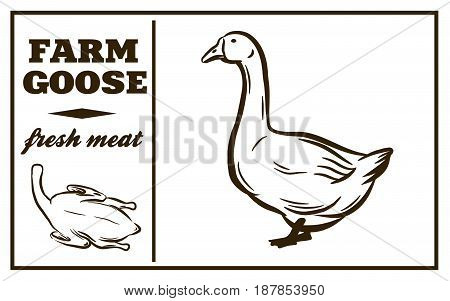 Label of meat products. Goose. Poultry meat. Vector illustration