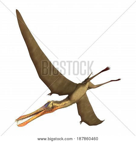 3D Rendering Pterodactyl Anhanguera On White