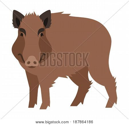 Cute smiling boar vector cartoon illustration. Wild pig zoo animal icon. Big brown adult hog standing. Isolated on white. Forest fauna childish character. Simple flat design element