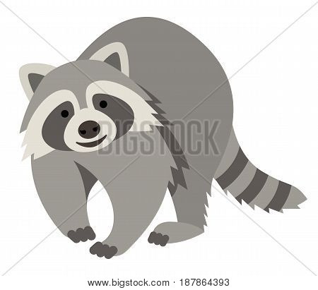 Cute smiling raccoon vector cartoon illustration. Wild zoo animal icon. Fluffy adorable pet looking straight. Isolated on white. Forest fauna childish character. Simple flat design element for kids