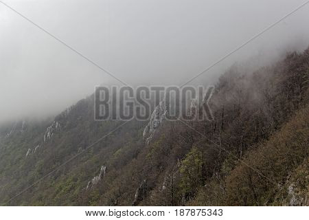 Fog in the Ucka mountains on the Istrien peninsula in Croatia.