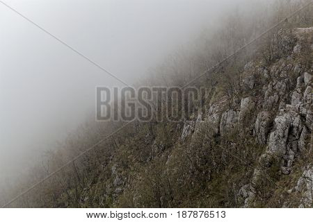 Fog in the Ucka mountains on the Istrien peninsula in Croatia.