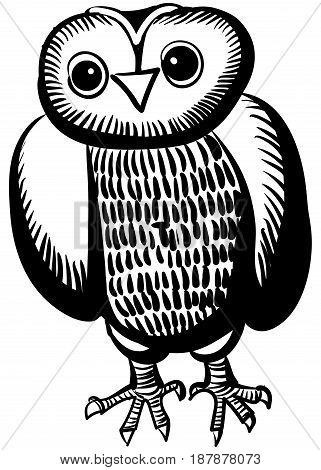 Illustration of an owl. Cartoon cute owl character. Hand drawn illustration.