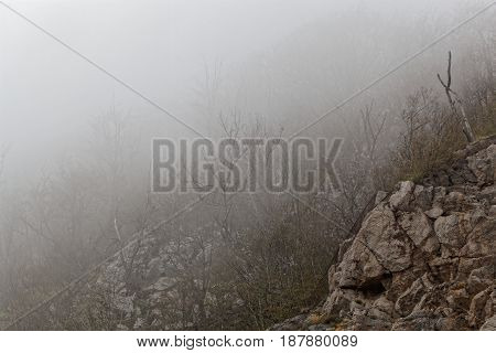 Fog in the Ucka mountains on the Istrien peninsula in Croatia.