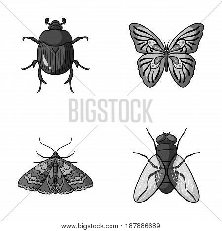 Wrecker, parasite, nature, butterfly .Insects set collection icons in monochrome style vector symbol stock illustration .