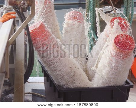 Rolled plastic nets for fishing Rolled plastic nets for fishing