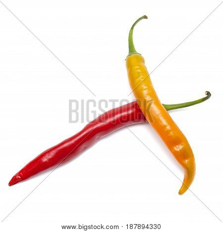 Hot Chili Pepper